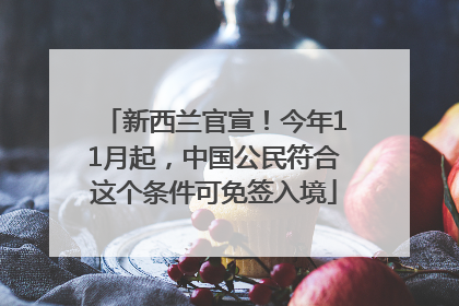 新西兰官宣！今年11月起，中国公民符合这个条件可免签入境